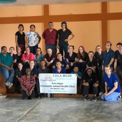 Community veterinary clinic group in Belize