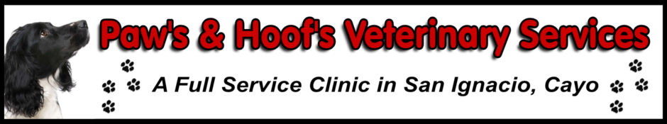 PAWS Veterinary Service PAWS Veterinary Service